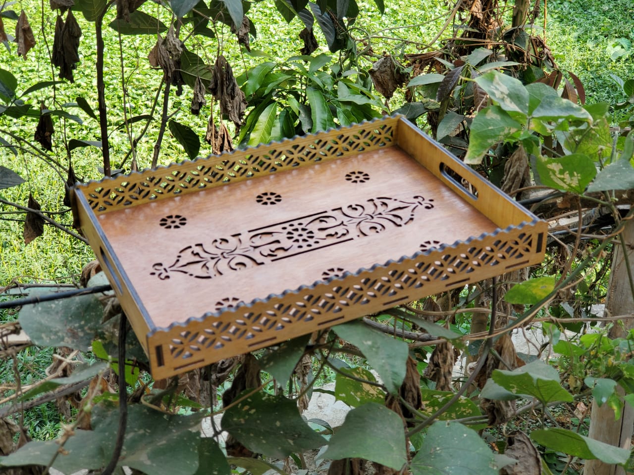 c9a169a3-e670-4e95-9cfd-50f01c218edc